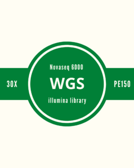 人類WGS_30X_PE150